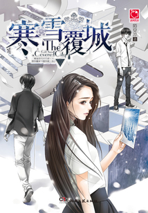 寒雪覆城