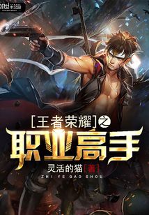 王者榮耀之職業高手