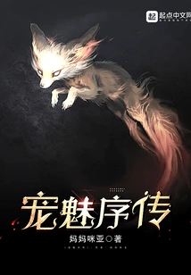 Preface to Chong Mei