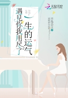 遇見你我用盡了一生的運氣在線閱讀