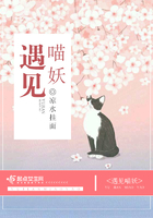 遇見喵妖在線閱讀