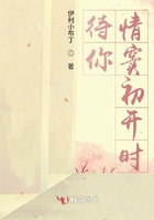 待你情竇初開時在線閱讀