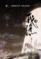 我本将心照明月在线阅读