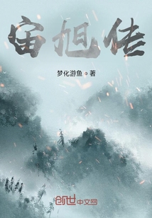 宙旭传