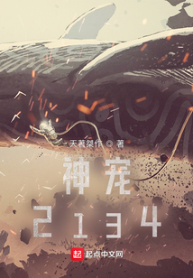 神寵2134
