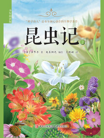 昆蟲(chóng)記2(少年簡(jiǎn)讀版)