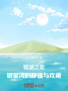 银湖之歌：银星湾的静谧与欢闹在线阅读