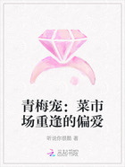 青梅宠:菜市场重逢的偏爱在线阅读