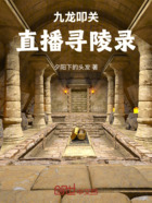 九龙叩关:直播寻陵录在线阅读
