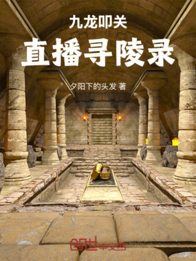 九龙叩关：直播寻陵录在线阅读