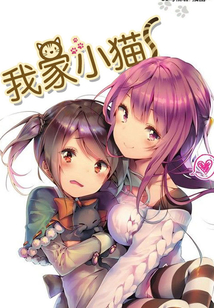 我家小貓