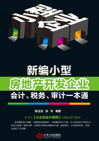 新编小型房地产开发企业会计、税务、审计一本通