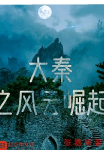 大秦之風云崛起