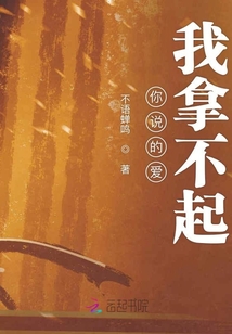 你說的愛我拿不起