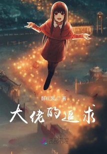 大佬的追求