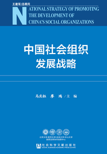 中国社会组织发展战略