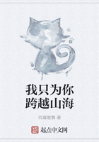 我只为你跨越山海在线阅读