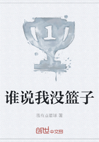 谁说我没篮子在线阅读