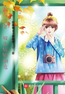 人在流金:被朱锁锁倒追