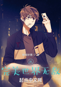 从完美世界无敌