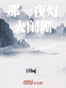 那一夜灯火阑珊