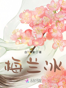 梅兰冰