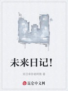 未来日记!在线阅读