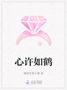 心許如鶴在線閱讀