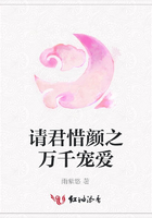 请君惜颜之万千宠爱在线阅读