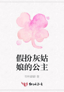 假扮灰姑娘的公主