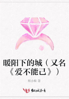 暖陽下的城（又名《愛不能己》）在線閱讀