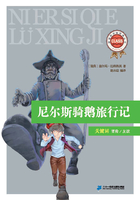 尼尔斯骑鹅旅行记