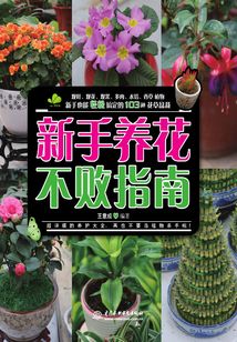 新手養(yǎng)花不敗指南