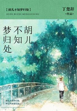 胡儿不知梦归处 封面
