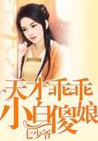 天才兒子小白娘親在線閱讀