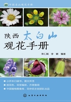 陕西太白山观花手册