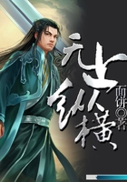 无上纵横