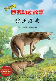 狼王洛波