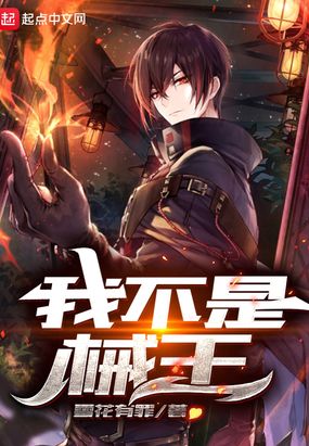 我不是械王在线阅读