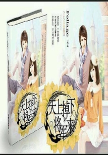 天上掉下個將軍來