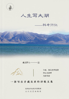 人生寫大湖：科考行紀在線閱讀