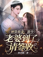 神算萌妻：澹少，老婆到了請簽收在線閱讀
