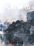 忆往碎在线阅读