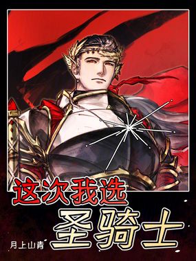 这次我选圣骑士在线阅读