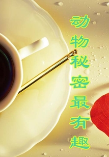 動(dòng)物秘密最有趣（探索發(fā)現(xiàn)漫游記）