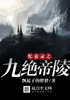 憶墓錄之九絕帝陵在線閱讀