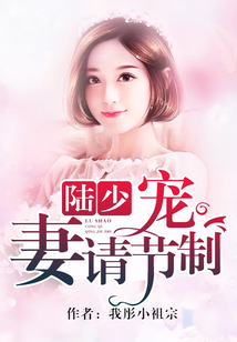 陸少寵妻請節(jié)制