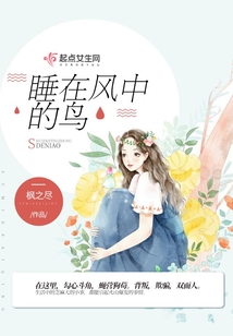 睡在風(fēng)中的鳥