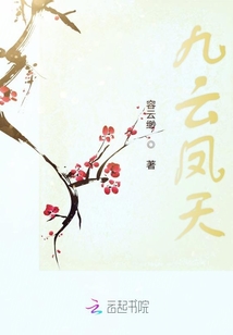 九云凤天