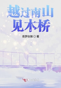越过南山见木桥